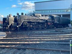 ڂ񂳂̋sSقւ̓eʐ^1