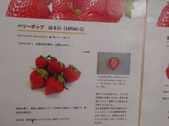 emm̂炬@p[Nւ̓eʐ^1