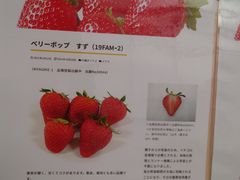 emm̂炬@p[Nւ̓eʐ^2