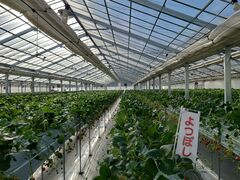 emm̂炬@p[Nւ̓eʐ^3