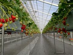 emm̂炬@p[Nւ̓eʐ^4