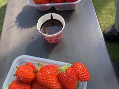 ܂܂̊ό_Ct@[ւ̓eʐ^1