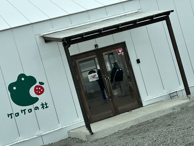 �����_�P���P���̓m