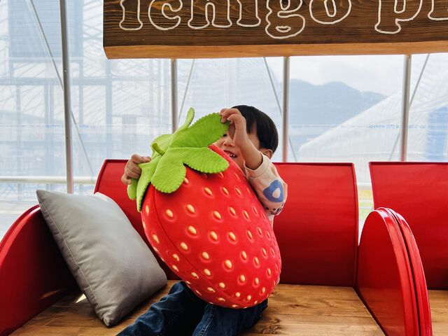 �����ȃt�@�[���ł��@�D��_������ �Ղ��� -ichigo plant-