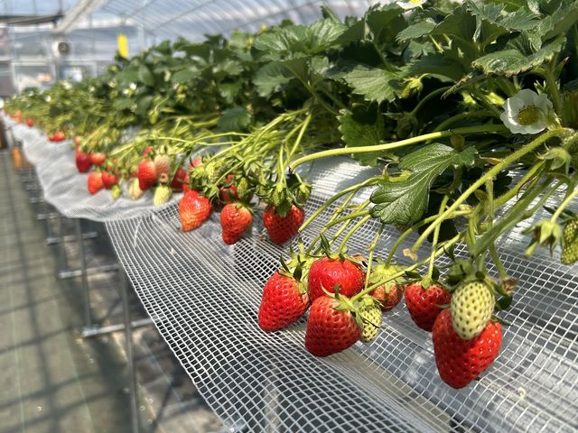 �ƂĂ��Y��Ȏ{�݂ł�_�祂Ղ�`��