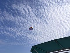 Ă̂̋{ÓpZ[O all good marine 385ւ̓eʐ^1