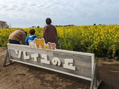 hidepo����̒���C�̎�����\���C���̋u�ւ̓��e�ʐ^1