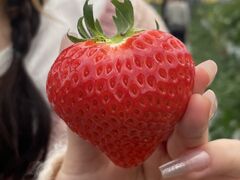 ͂̂ςς䕂ւ̓eʐ^1