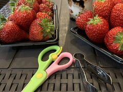 b`NENE FARM Yokohamaւ̓eʐ^1