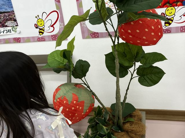 ��t�̌����̒������킢���ł��B_�ό��_�� Bee my Berry