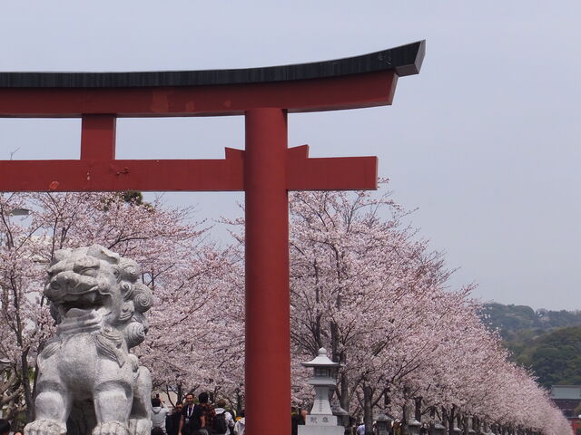 �i��_�i��