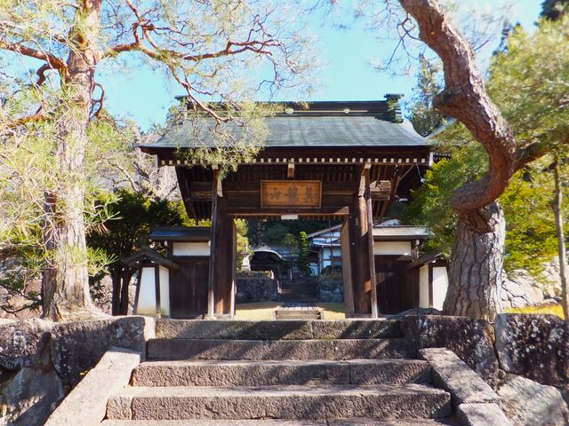 �R��ɂ́u�^���R�v�̝G�z_�@�Q��