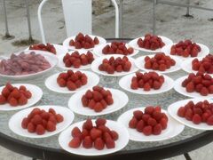 ܂邿񂳂̎_ւ̓eʐ^1