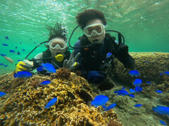 ������������̕��������ւ̓��e�ʐ^1