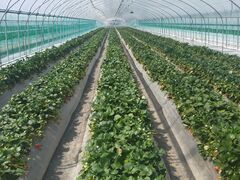 ܂񂳂̃Xgx[h}ւ̓eʐ^2