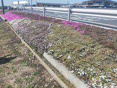 ܂񂳂̃Xgx[h}ւ̓eʐ^3