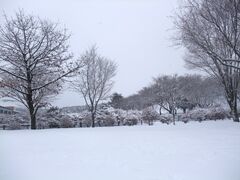 ���イ���񂳂�̐��΁i�̌��ό��j�ւ̓��e�ʐ^1