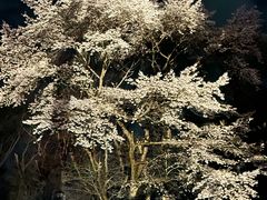 ���Â݂񂳂�̒����~���[�Y�p�[�N�ւ̓��e�ʐ^1