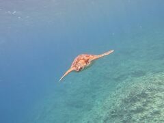 yukoSHISHIΊ_ւ̓eʐ^1