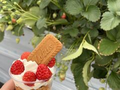 NENE FARM Yokohamaւ̓eʐ^1