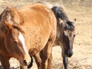 ݂̋Hsӂꂠz[Xp[N̓eʐ^3