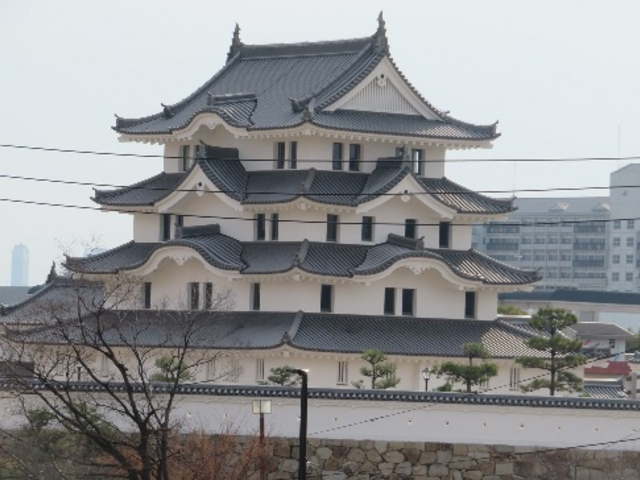 ����S�w�̊O��_����