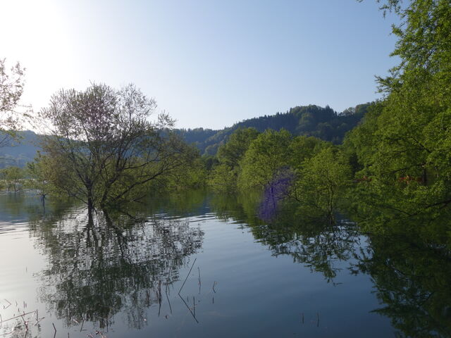 ���v��_�����