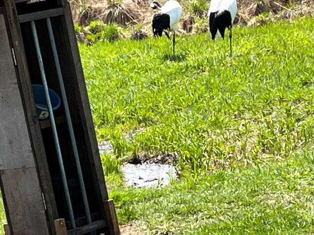 �O����_�O���ߎ��R����