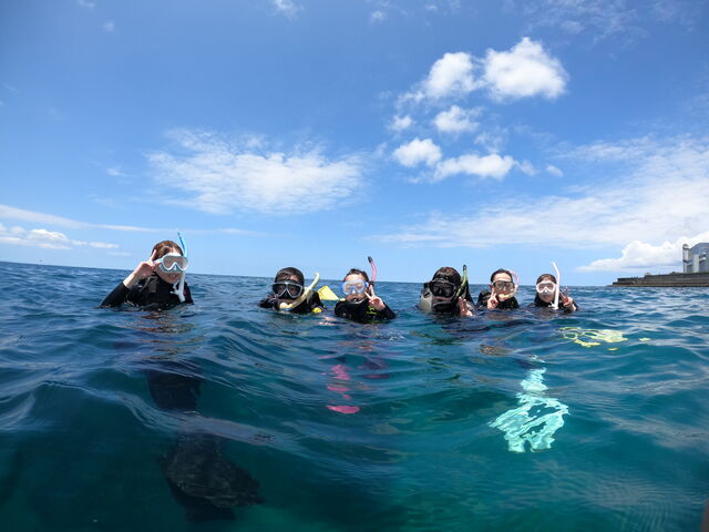 �Ƒ��Ŋy���������ł���_DIVE IN CHATAN