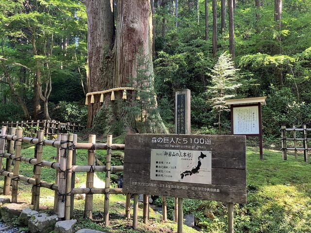 uR̎O{v͌wVRLO  F500N__