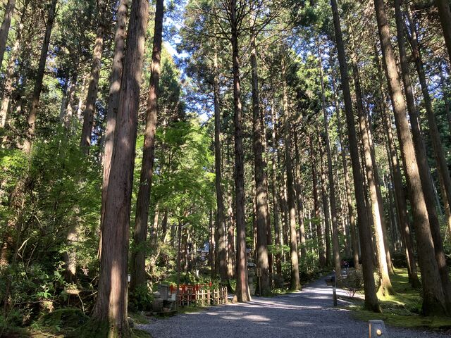 Xɐ͂^Ă悤ȁA͋邱Ƃł܂B__