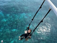 ̌cǊ(P})C攼cA[X@OPGւ̓eʐ^1