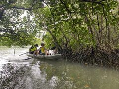 AbR̂ЂI[VYւ̓eʐ^1