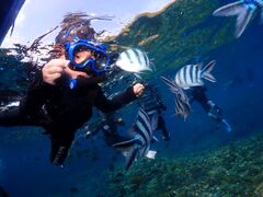 [񂳂̖` ꑍAEghAcA[Xւ̓eʐ^1