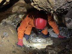 naruPOLEPOLEւ̓eʐ^1