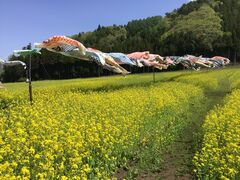 cn[ux_[ԓE݁ǐj̎ʐ^3