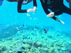 K-cõ_CrOVbvTI.OCEANւ̓eʐ^1