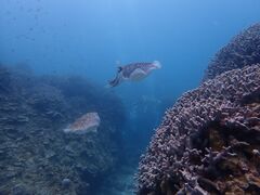 ނނނ̃ANAJ[Yւ̓eʐ^2