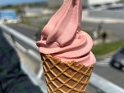 �V���^�C�i�[����̊C�̉w ��\�㗢�̓��e�ʐ^1