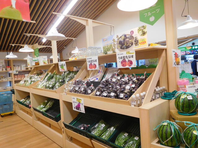 ��ؗ�_���̉w�@�đ�