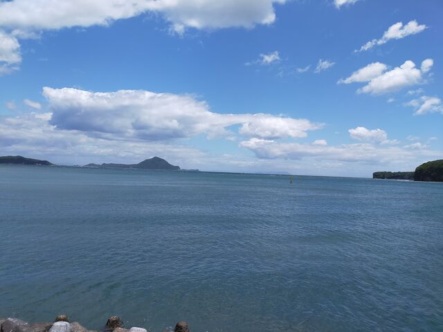 �����ڂ�����̓��̉w���ɂ݂̓��e�ʐ^5