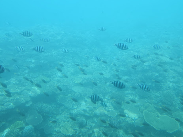 ���������񂢂܂���_�E�G�X�g�}����