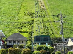 �厺�R�o�R���t�g�̎ʐ^1