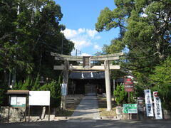 �L������̋ʈ�{���Ƌ{�ւ̓��e�ʐ^1