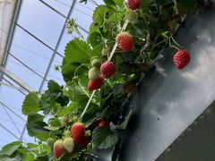 Uki񂳂̃PP̓mւ̓eʐ^1