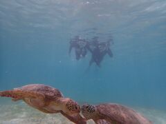 TC_[nico {Óւ̓eʐ^1