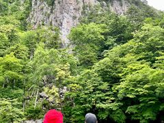 RIKÃOh@RIB Tripւ̓eʐ^1