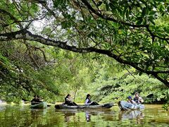 ₳OHCUSΊ_ւ̓eʐ^1