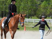 ݂̋Hsӂꂠz[Xp[N̓eʐ^1