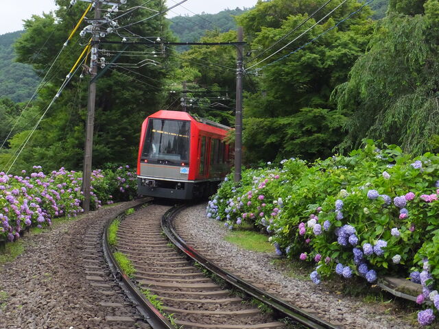 ���������d��_�啽�䉷��